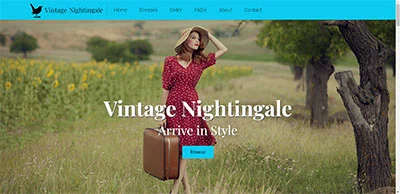 screenshot of vintage Nightingale website